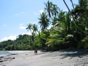 Beach Walk Near Cocalito