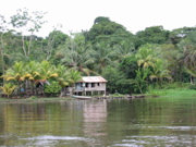 Tortuguerro Canal