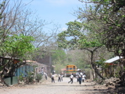 Island Street Scene