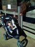 Meli's New Friend, Little Farm