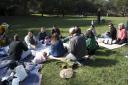 Group Picnic, Tilden Little Farm