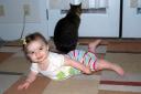Kitty Cat 1