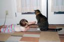 Kitty Cat 3