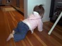 Crawling