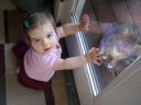Kitty Cat Behind Glass