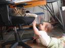 I Want to Touch the Cat