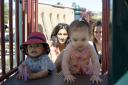Slide Steps w/ Suli