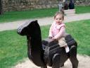 Camel, Evora