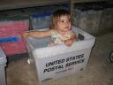 Special Delivery @ Fenestra Winery, Livermore
