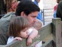 Watching Little Farm Ducks with Dada