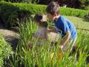 Egg Hunt @ Grandma & Grandpa's