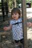 Chicken Coop @ Boa Ventura Winery, Livermore