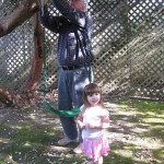 Swing