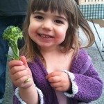Broccoli