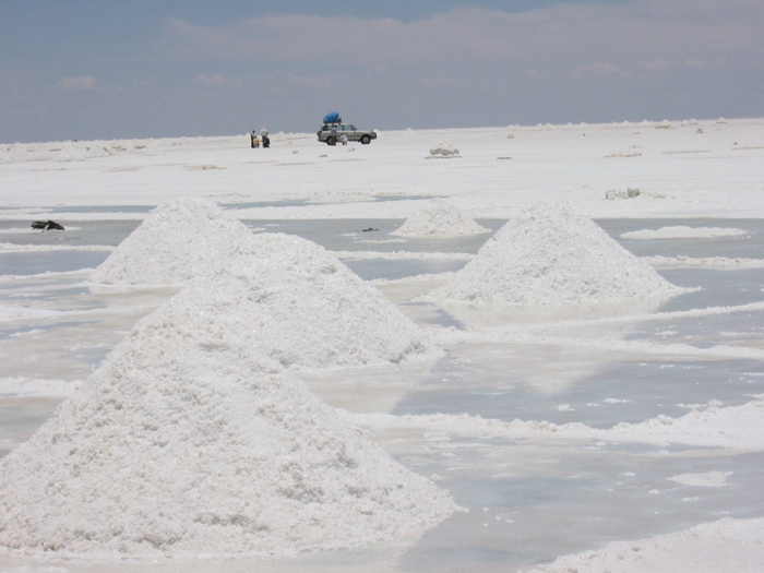 Salt Harvest