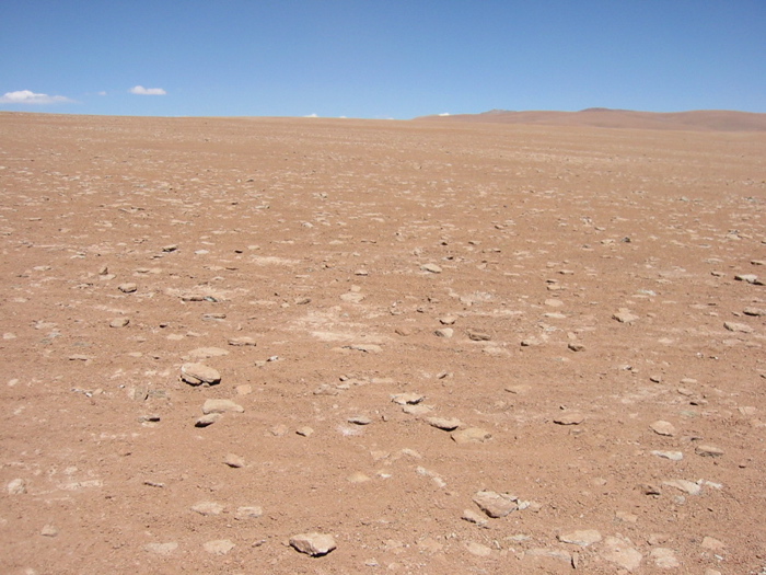 Dali Desert