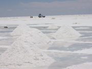 Salt Harvest