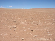 Dali Desert