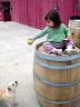 Doggie & Wine Barrel