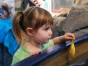 Monterey Bay Aquarium