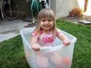 Meli in a Bucket