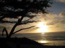 Carmel Sunset