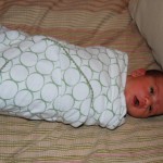 Baby Burrito