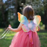 fairy wings