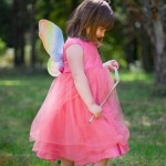 fairy wings 2