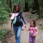 redwood_walk