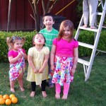 oranges_cousins